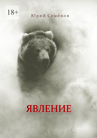 Обложка книги «Явление»