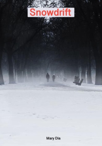Обложка книги «Snowdrift»