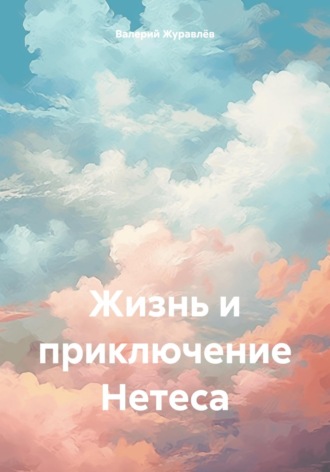 Обложка книги «Жизнь и приключение Нетеса»