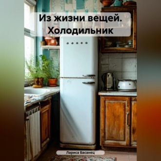 Обложка книги «Из жизни вещей. Холодильник»