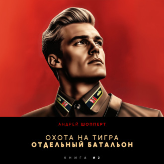 Обложка книги «Охота на Тигра 2. Отдельный батальон»