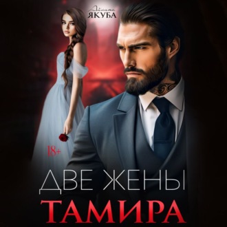 Обложка книги «Две жены Тамира»