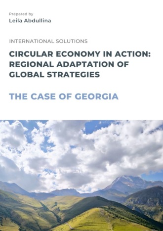 Обложка книги «Circular economy in action: Regional adaptation of global strategies. The case of Georgia»