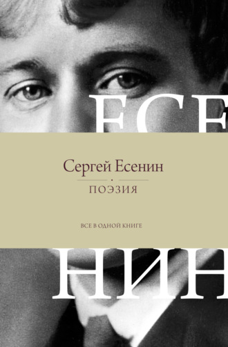 Обложка книги «Поэзия. Все в одной книге»