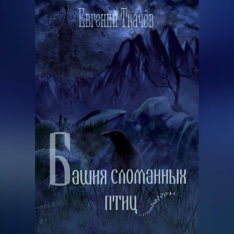 Обложка книги «Башня сломанных птиц»