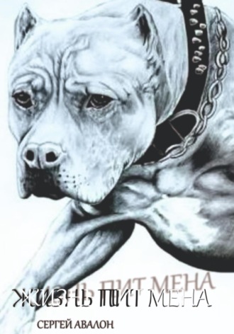 Обложка книги «Жизнь Пит мена»