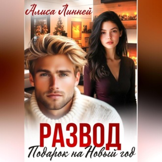 Обложка книги «Развод. Подарок на Новый год»