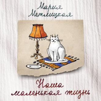 Обложка книги «Наша маленькая жизнь (сборник)»