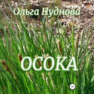 Обложка книги «Осока»