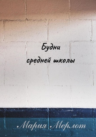 Обложка книги «Будни Средней Школы»