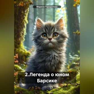 Обложка книги «2.Легенда о юном Барсике»