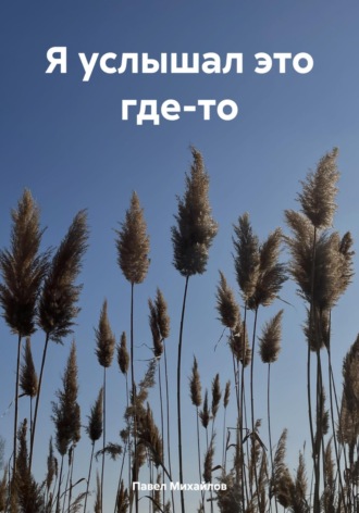 Павел Михайлов. Я услышал это где-то