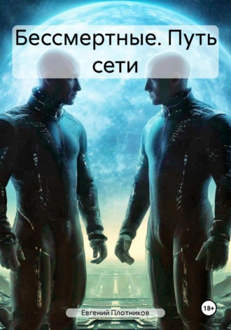 Евгений Андреевич Плотников. Бессмертные. Путь сети