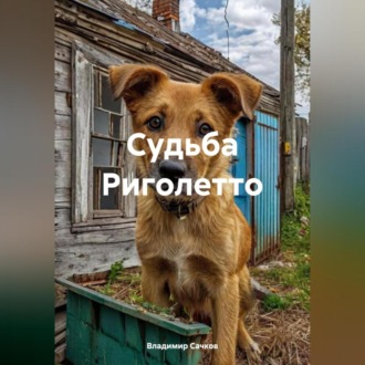 Обложка книги «Судьба Риголетто»