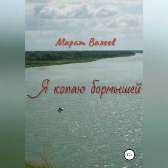 Обложка книги «Я копаю бормышей»