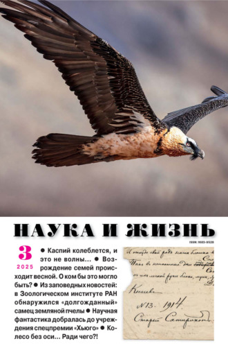 Обложка книги «Наука и жизнь №03/2025»