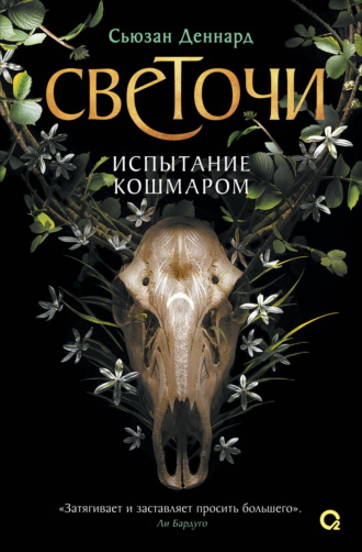 Обложка книги «Испытание кошмаром»