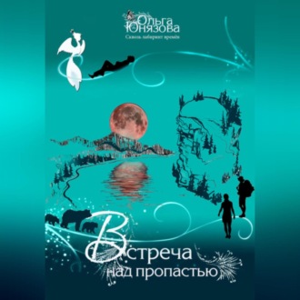 Обложка книги «Встреча над пропастью»