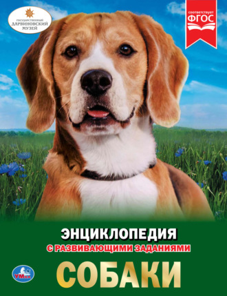 Обложка книги «Собаки»