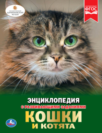 Обложка книги «Кошки и котята»