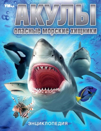 Обложка книги «Акулы. Опасные морские хищники»