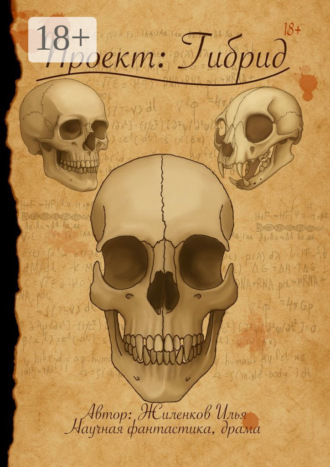 Проект: Гибрид. 