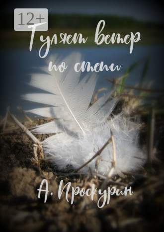 Обложка книги «Гуляет ветер по степи»