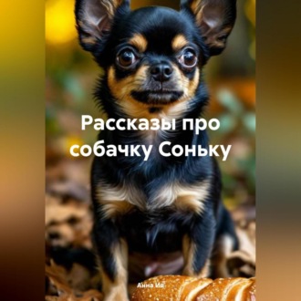 Обложка книги «Рассказы про собачку Соньку»