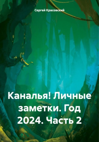 Обложка книги «Каналья! Личные заметки. Год 2024. Часть 2»