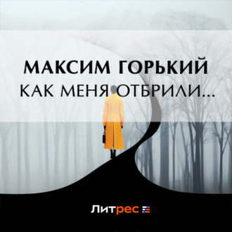 Обложка книги «Как меня отбрили…»