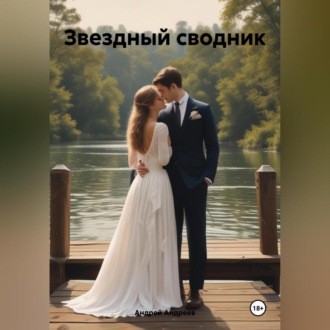Обложка книги «Звездный сводник»