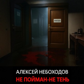 Обложка книги «Не пойман – не тень»