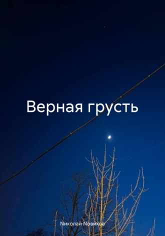 Nиколай Nовиков. Верная грусть