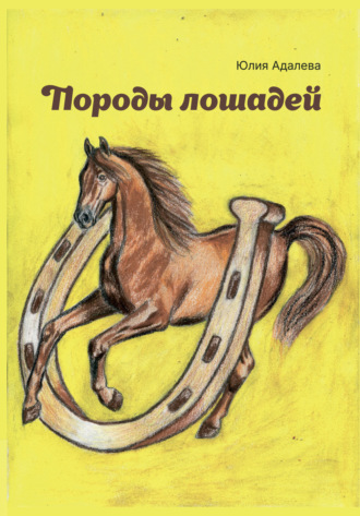 Обложка книги «Породы лошадей»