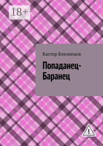 Обложка книги «Попаданец-Баранец»