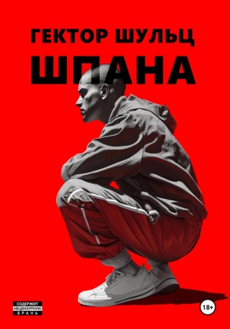Обложка книги «Шпана»