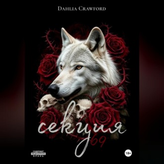 Обложка книги «Секция 69»
