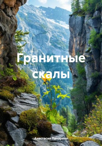 Обложка книги «Гранитные скалы»