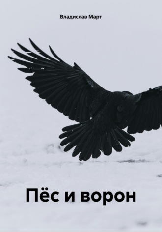 Обложка книги «Пёс и ворон»