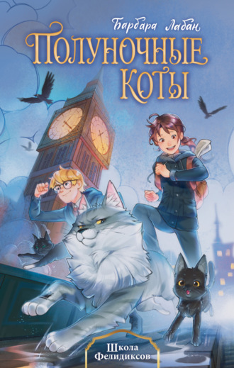 Обложка книги «Школа Фелидиксов»