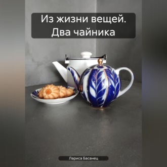Обложка книги «Из жизни вещей. Два чайника»