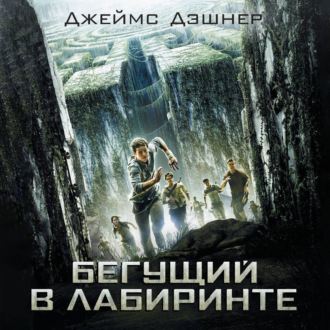 Обложка книги «Бегущий в Лабиринте»
