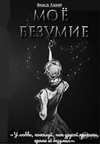 Обложка книги «Моё безумие»