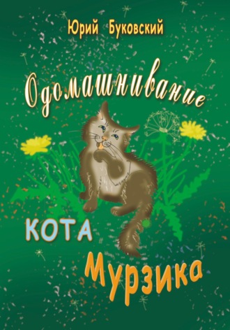 Обложка книги «Одомашнивание кота Мурзика»