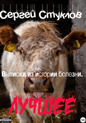 Сергей Игоревич Стуклов. Выписки из истории болезни. Лучшее