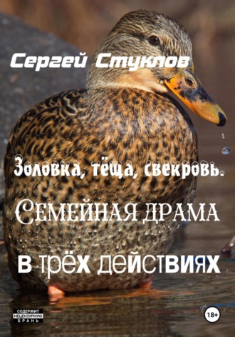 Обложка книги «Золовка, тёща, свекровь. Семейная драма в трёх действиях»
