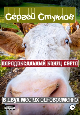 Сергей Игоревич Стуклов. Парадоксальный Конец Света в двух местах одновременно