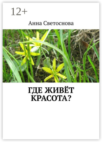 Где живёт красота?. 