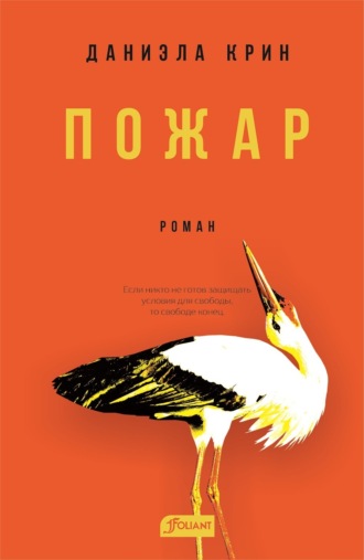 Обложка книги «Пожар»