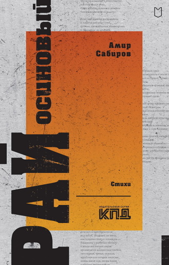 Обложка книги «Рай осиновый»